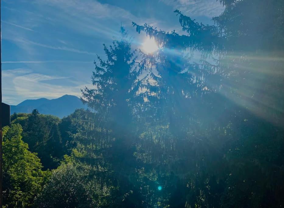 T2 Cocon Avec Balcon Et Parking Apartment La Roche-sur-Foron Luaran gambar