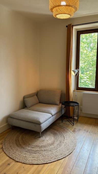 T2 Cocon Avec Balcon Et Parking Apartment La Roche-sur-Foron Luaran gambar